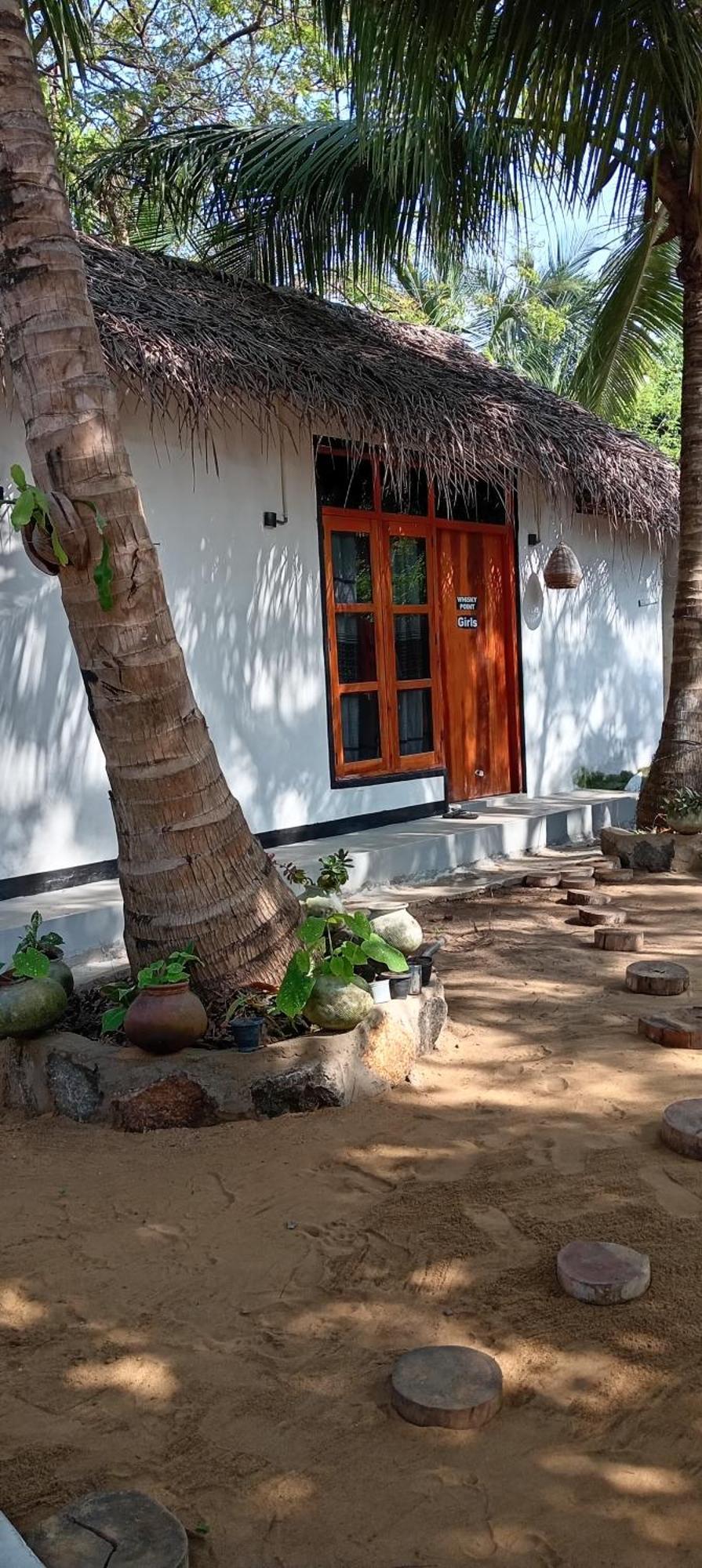 Surfing Lion Hostel Arugam Bay Kültér fotó