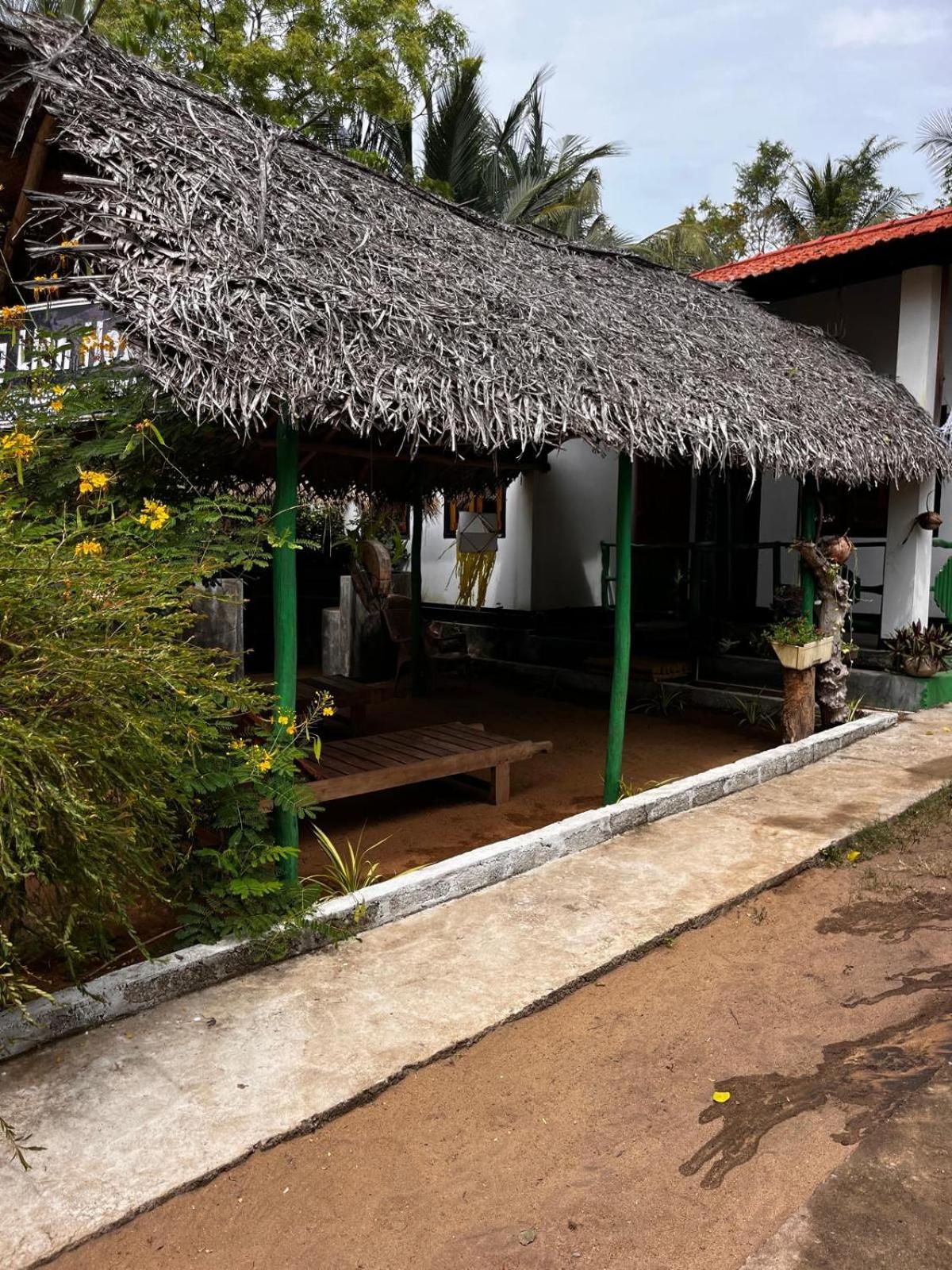 Surfing Lion Hostel Arugam Bay Kültér fotó