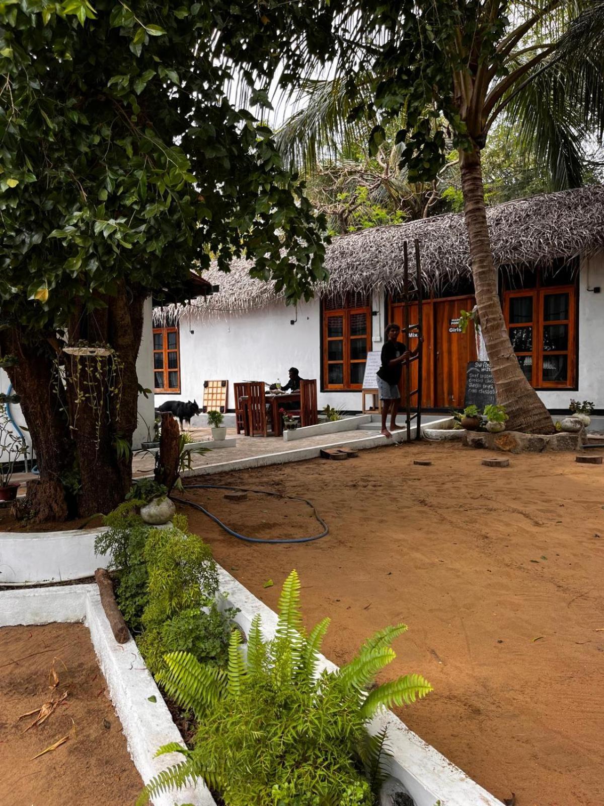 Surfing Lion Hostel Arugam Bay Kültér fotó