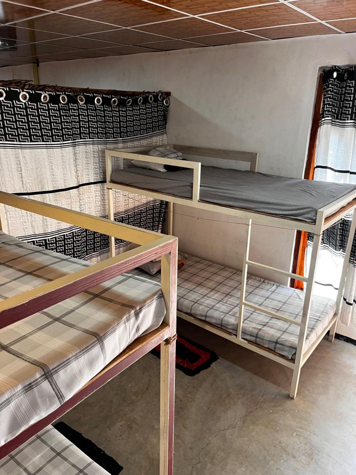 Surfing Lion Hostel Arugam Bay Kültér fotó