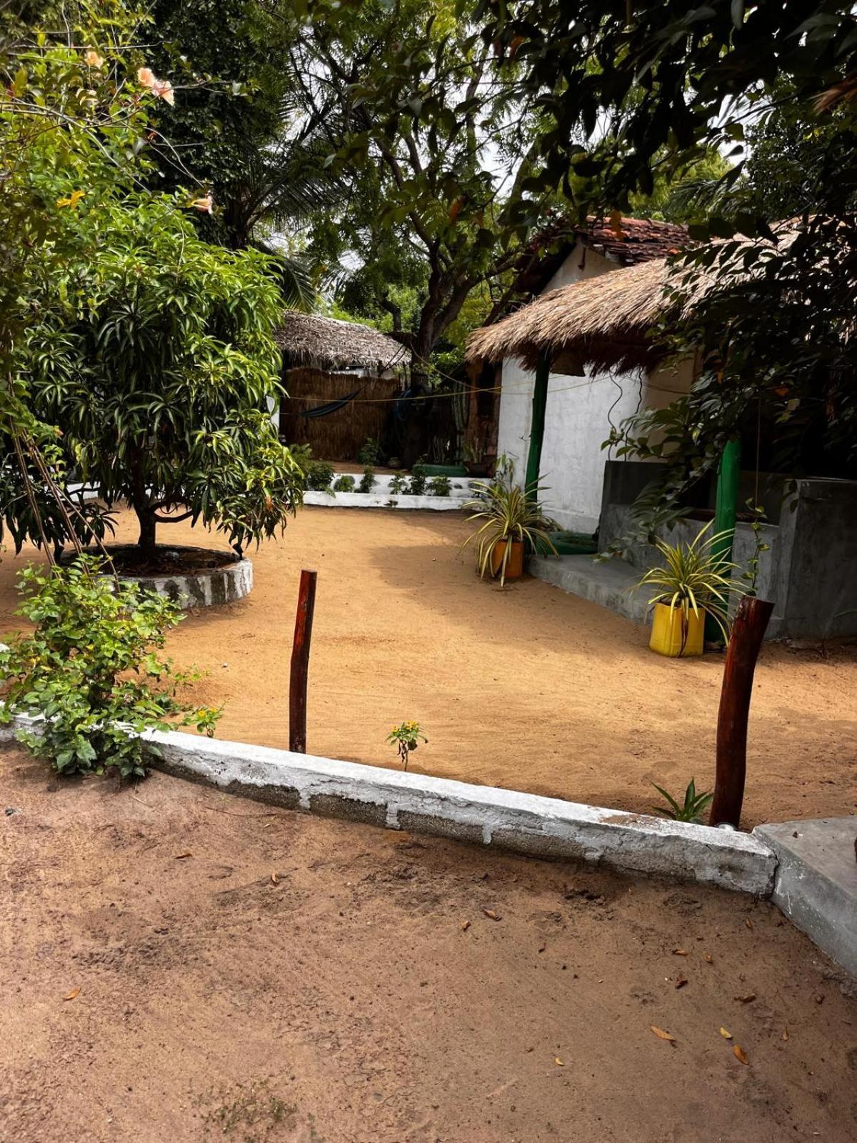 Surfing Lion Hostel Arugam Bay Kültér fotó