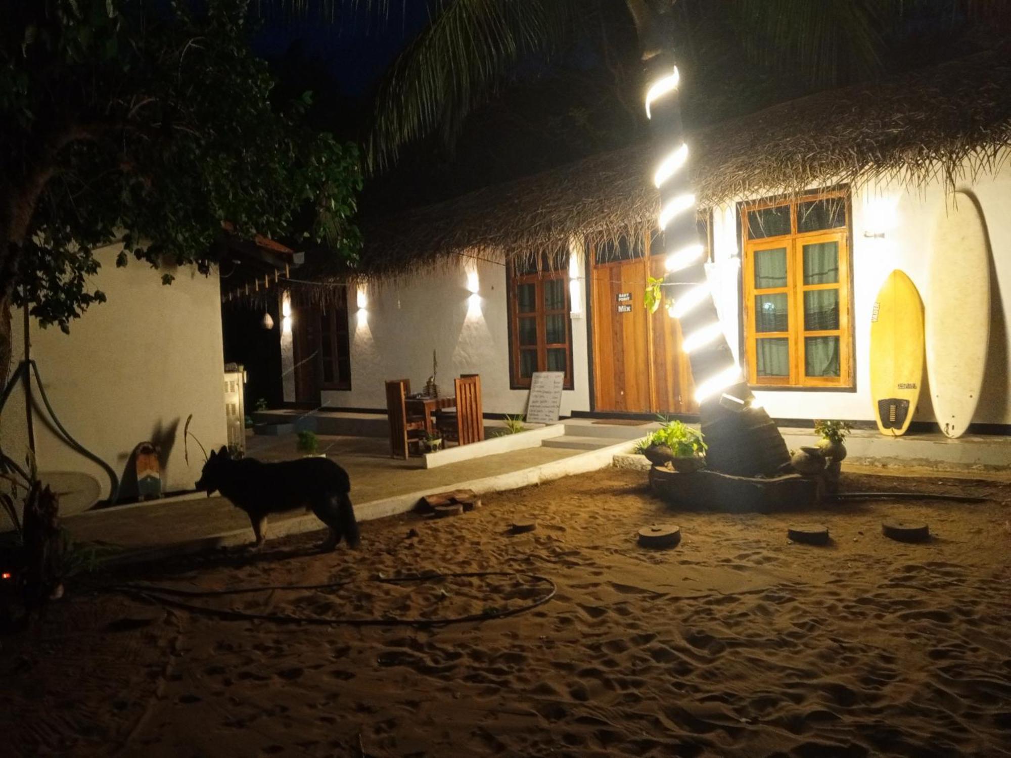 Surfing Lion Hostel Arugam Bay Kültér fotó