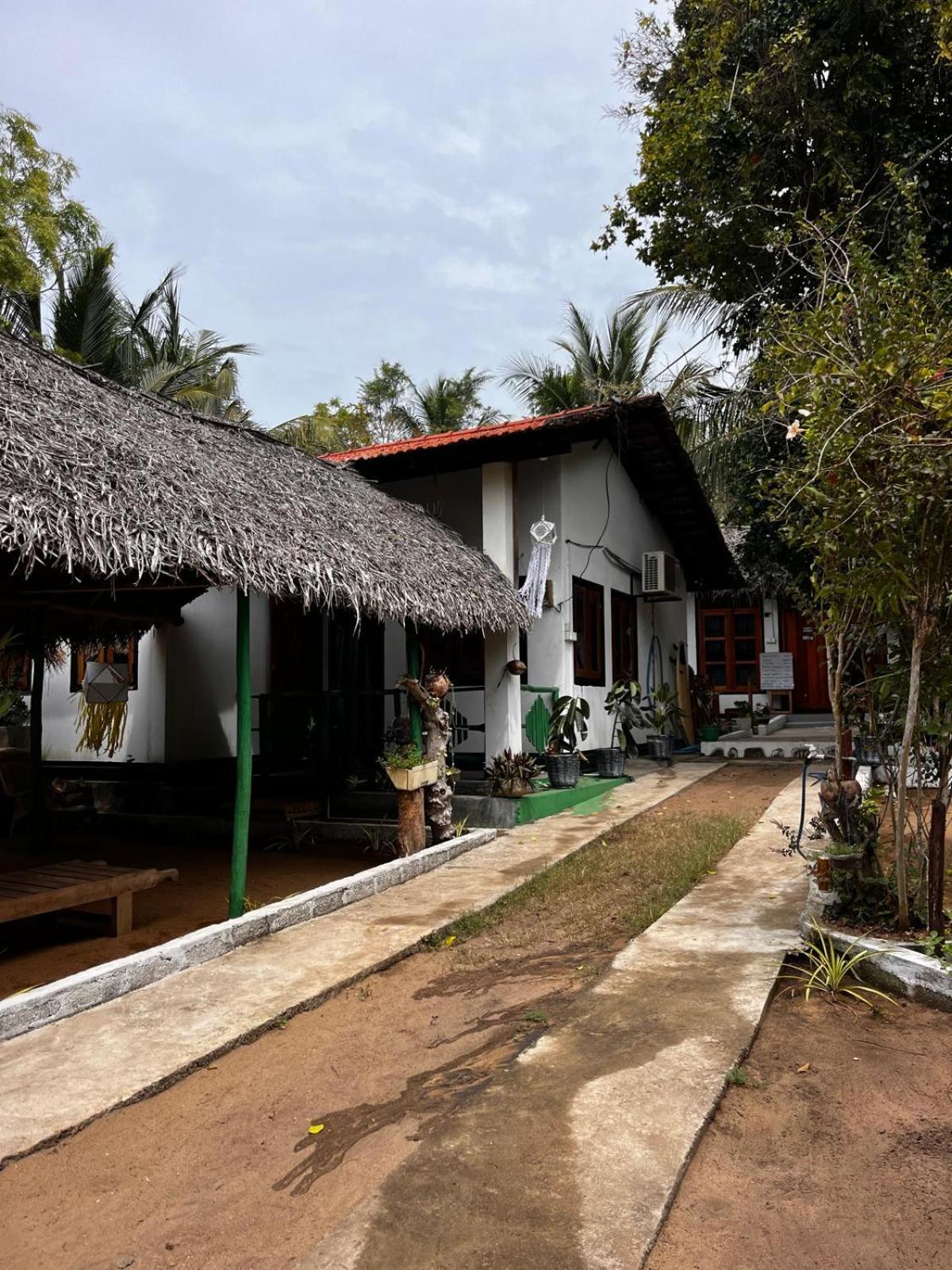 Surfing Lion Hostel Arugam Bay Kültér fotó