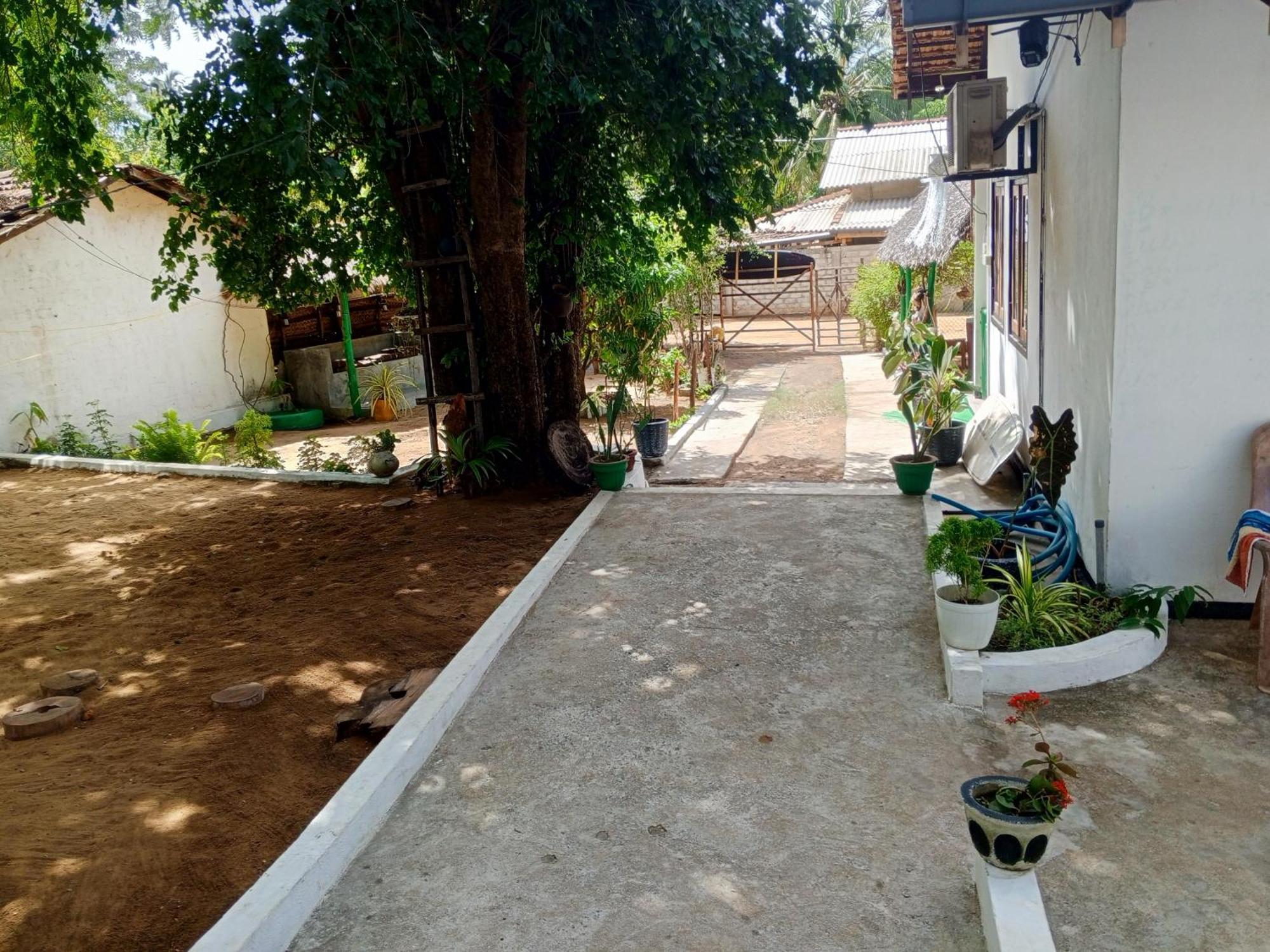 Surfing Lion Hostel Arugam Bay Kültér fotó