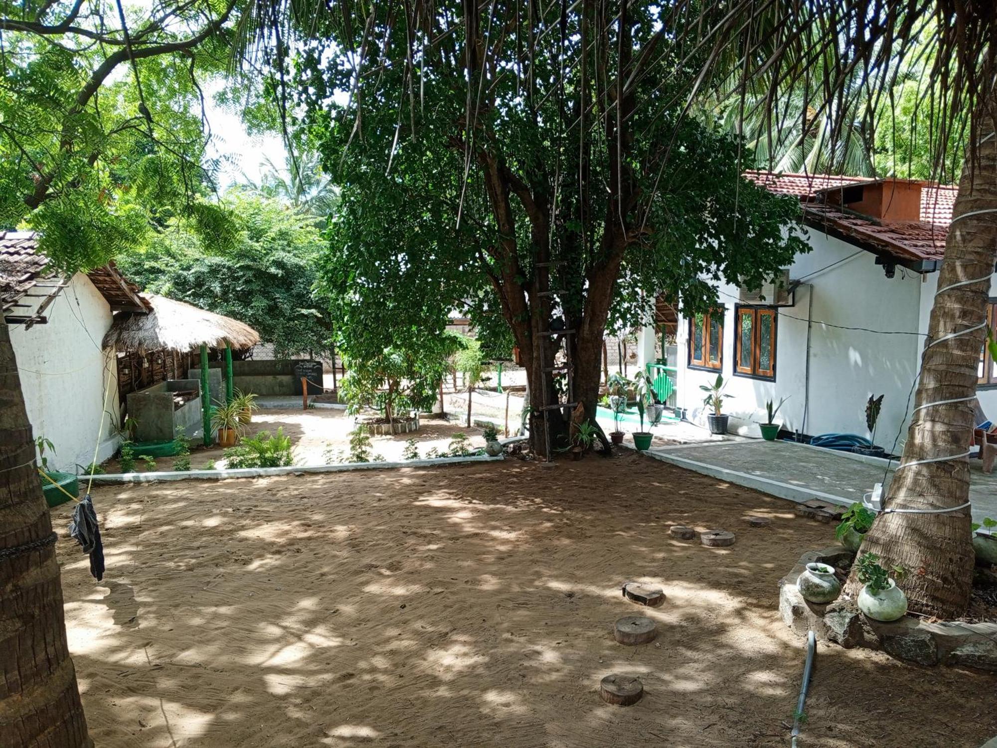 Surfing Lion Hostel Arugam Bay Kültér fotó